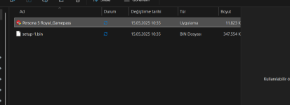 Ekran görüntüsü 2025-08-19 072928.png