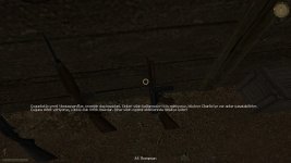 V5.jpg