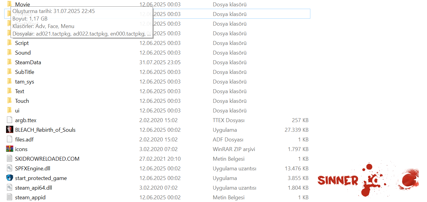 Ekran görüntüsü 2025-08-01 214822.png