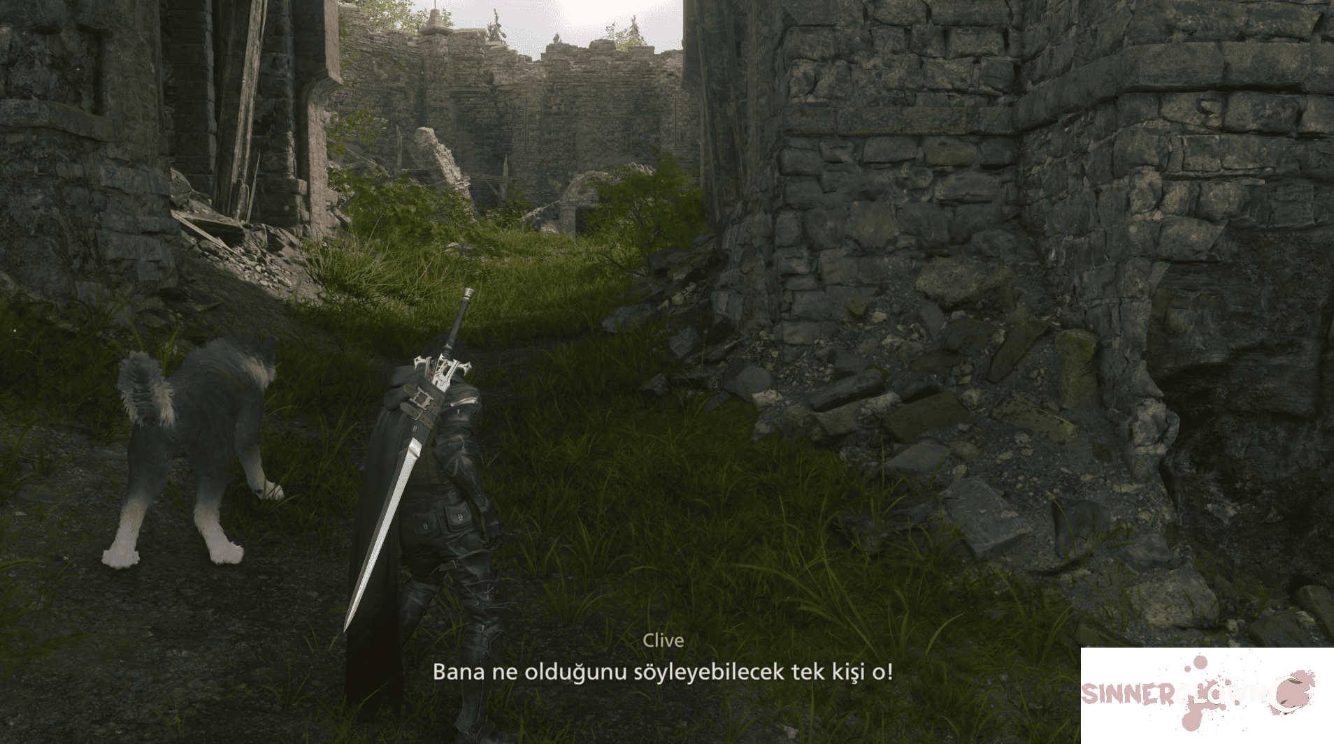 Ekran görüntüsü 2026-07-31 210203 (1).png