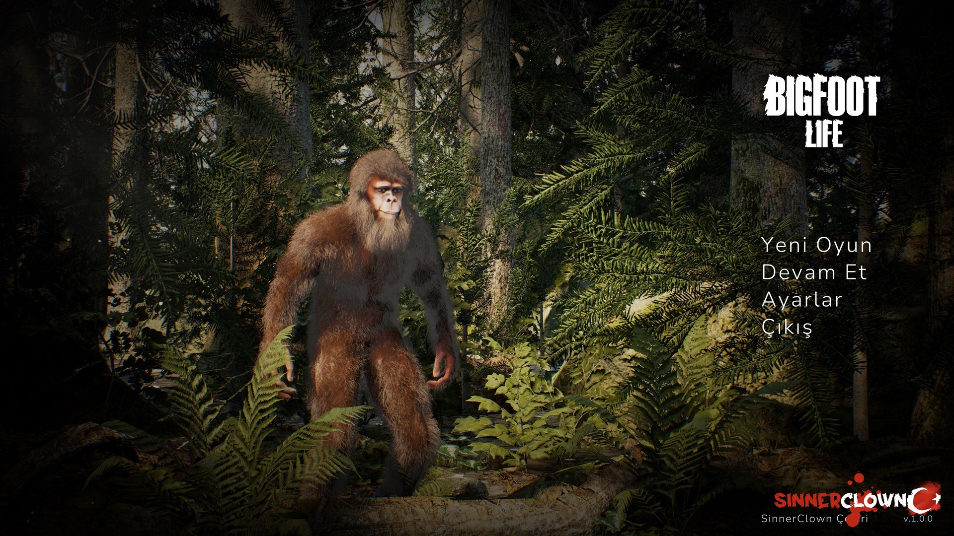 Ekran Görüntüsü (228).jpg