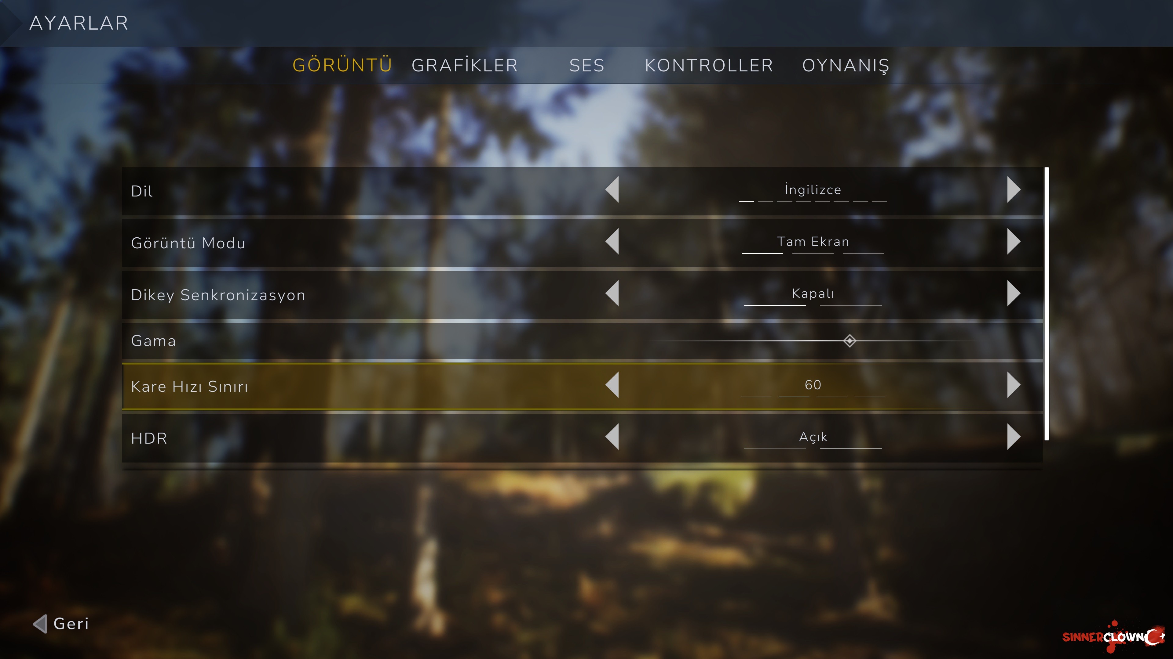 Ekran Görüntüsü (229).jpg