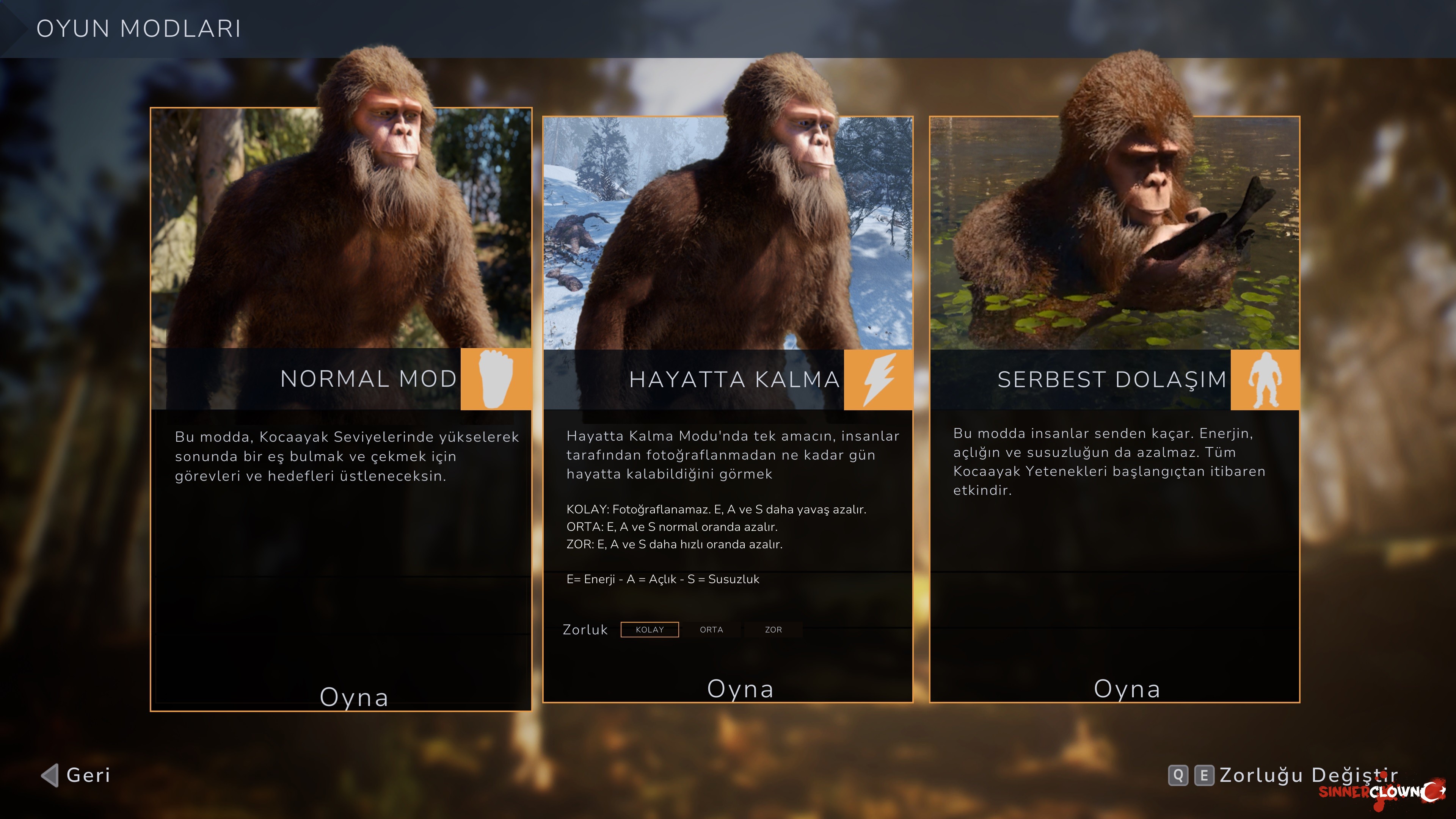 Ekran Görüntüsü (230).jpg