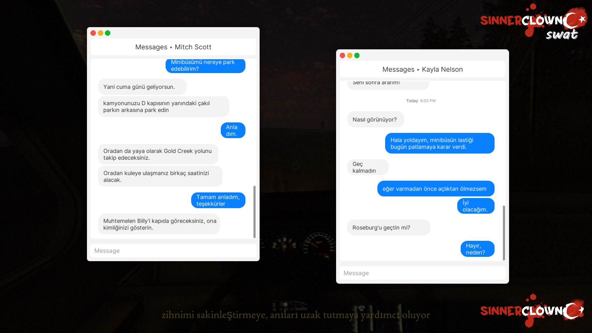 Fears to Fathom - Ironbark Lookout 2024-01-11 19-18-42-146.jpg