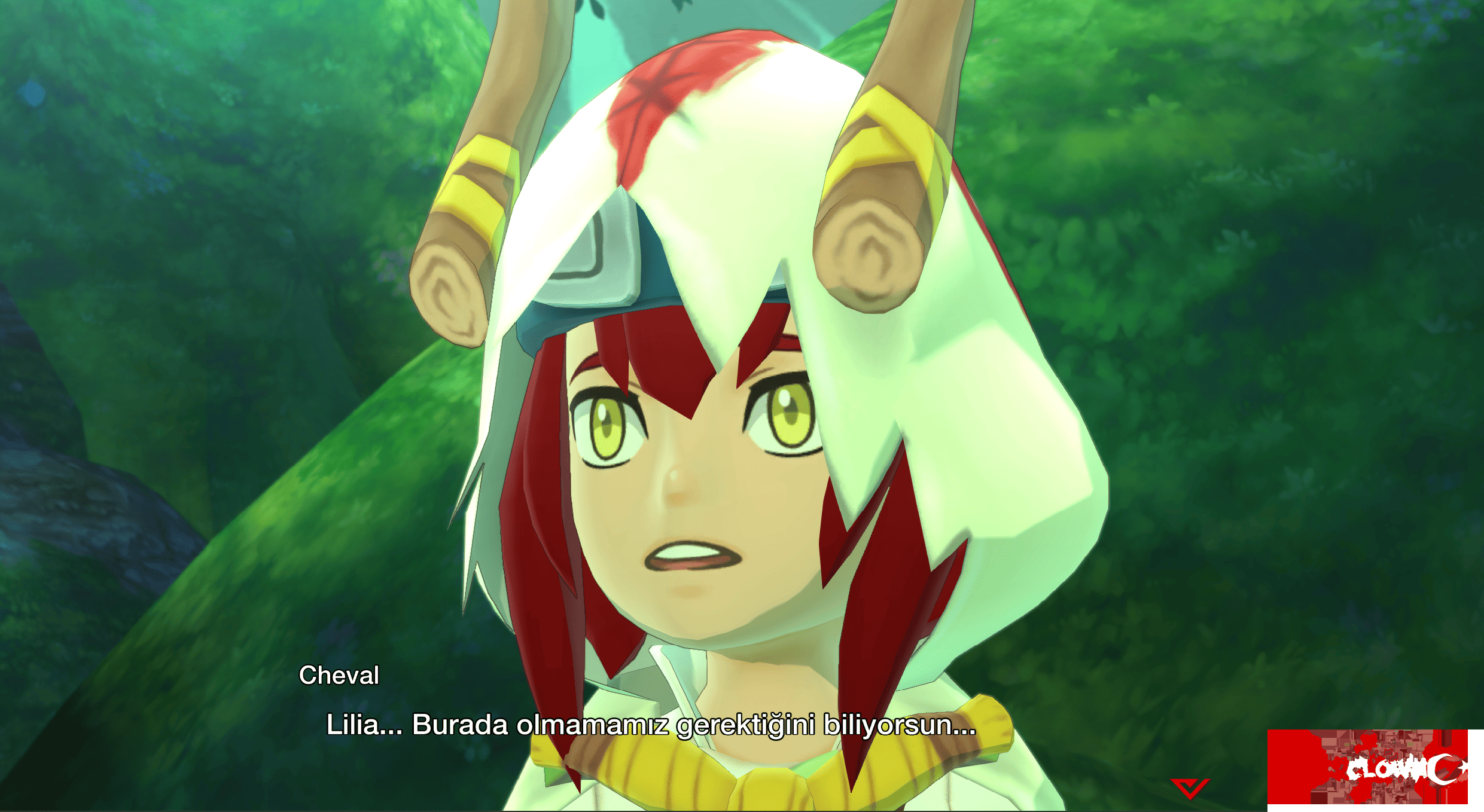 imagse.png