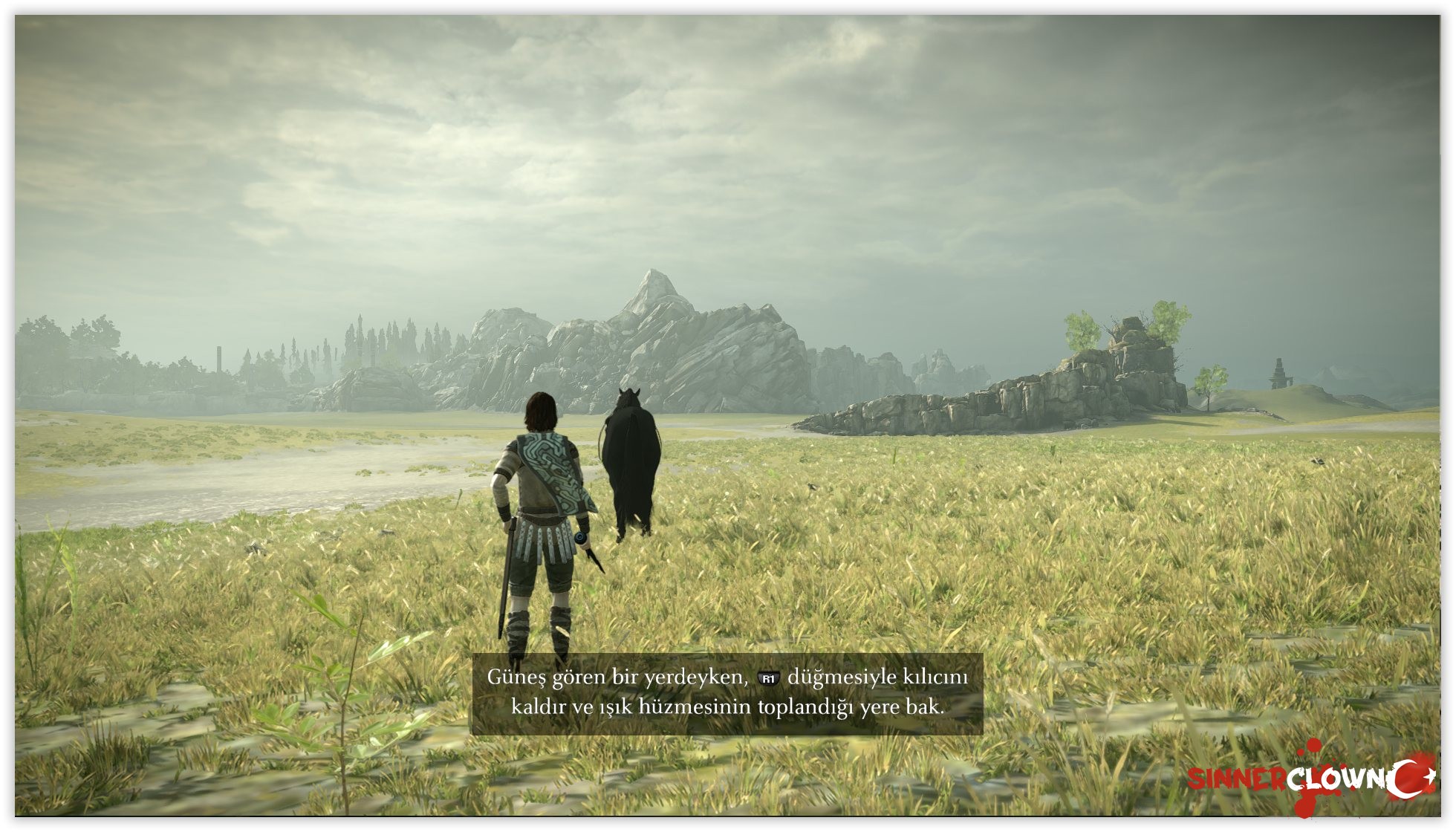 sotc-3.jpg