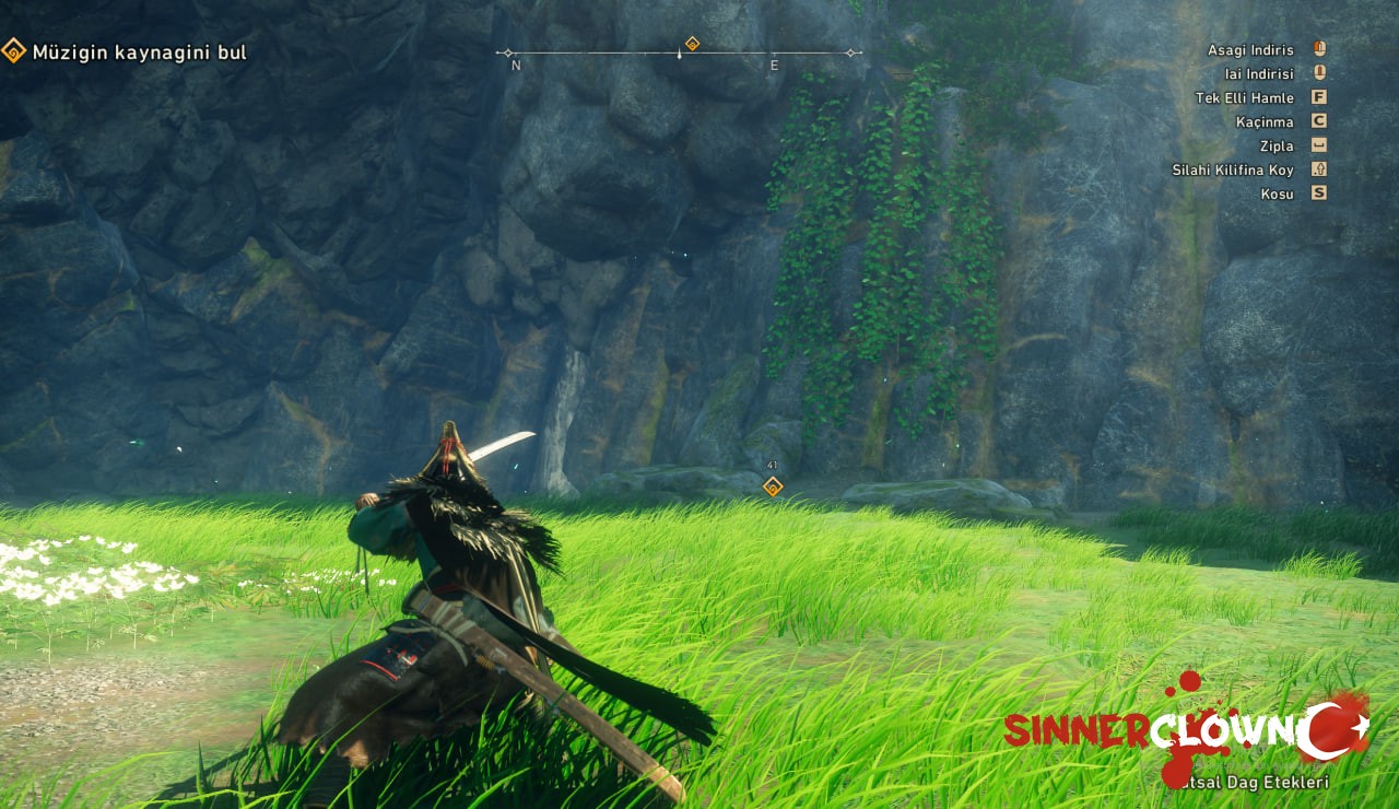 wilds2.jpg