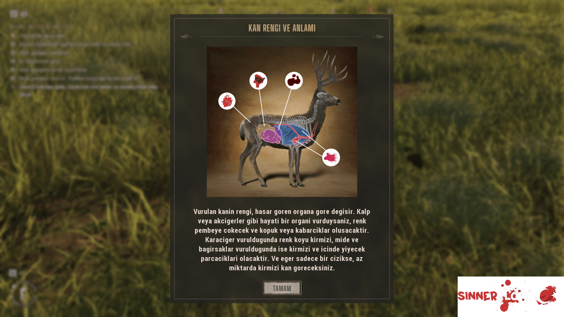 WOTH2   28.03.2026 13_56_03.png